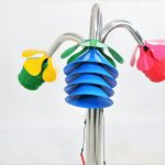 孔雀花合奏奏響自然的樂(lè)章！